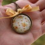 Pendant Vintage Vanilla